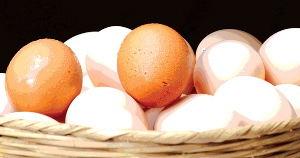 egg_basket